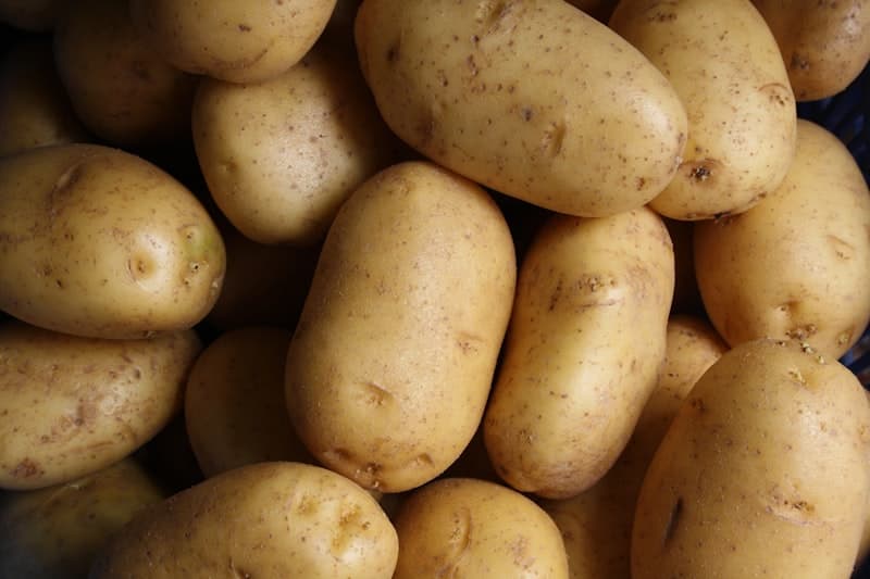 البطاطس